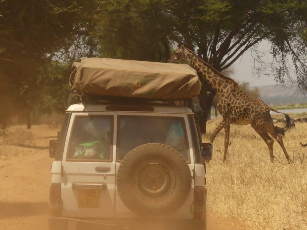 4x4 Toyota Land Cruiser LX on a rough Tanzania Road
