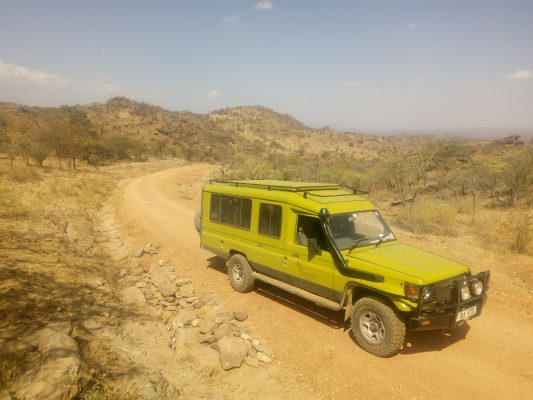 Self Drive Tanzania car rental safari with a driver guide