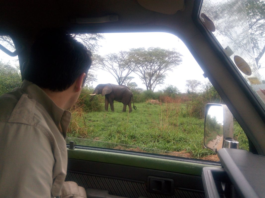 10 days Rwanda car rental roadtrips