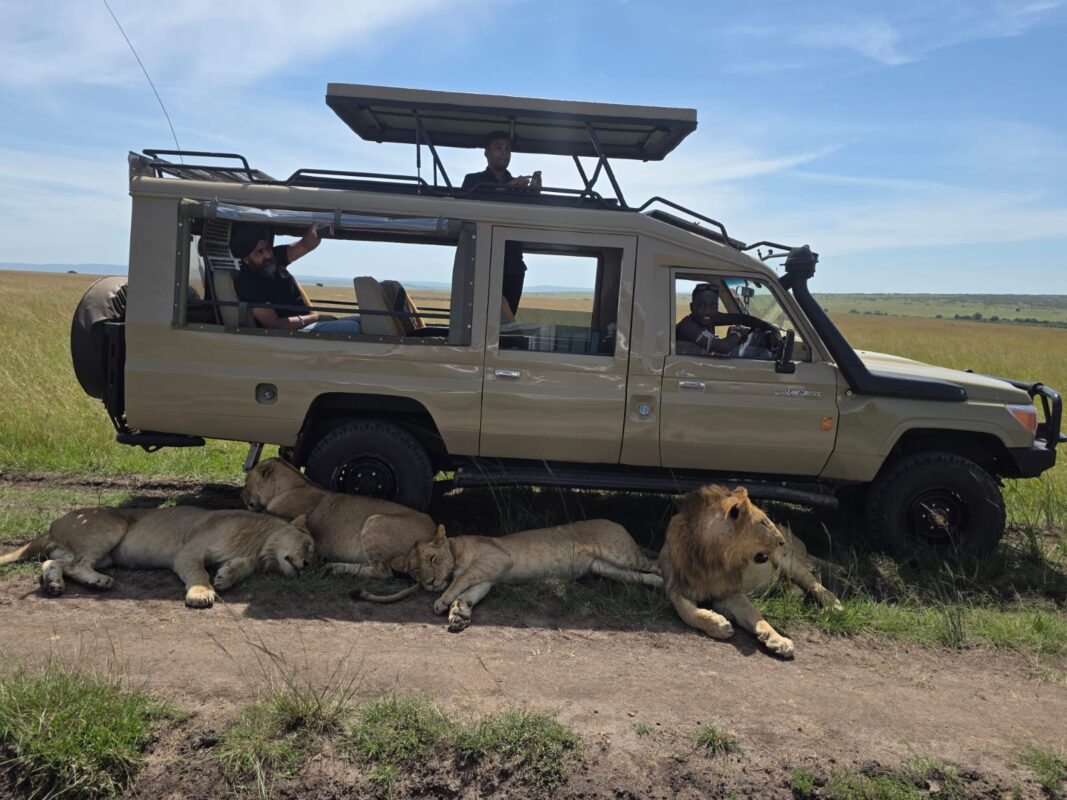 safari Land cruiser with POP UP roof or rooftop tent car rental in East Africa self Drive Uganda, Rwanda, Burundi, Kenya, Tanzania, Camping gear